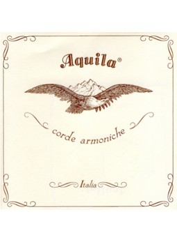 Aquila varnished  beef HV gut strings