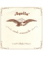 Aquila wound gut strings
