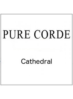 Pure Corde Cathedral gut strings