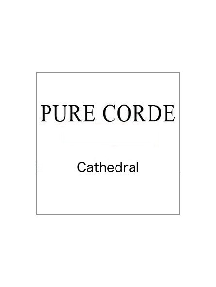 Pure Corde Cathedral gut strings