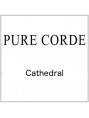 Pure Corde Cathedral gut strings