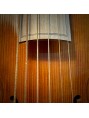WILD gut strings for pardessus viol