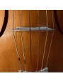 WILD gut strings for tenor viol