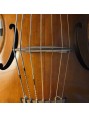 WILD gut strings for bass gamba
