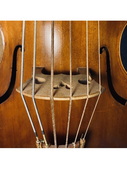 WILD gut strings for violone