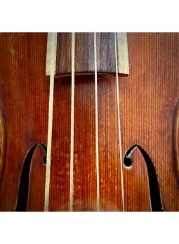 cordes boyau WILD pour violon