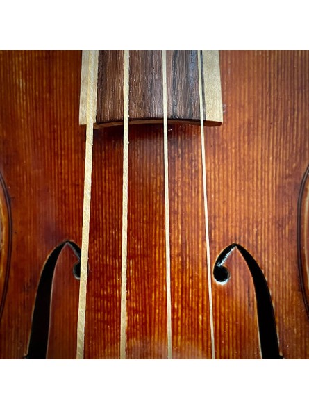 WILD violin gut strings