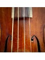 WILD violin gut strings