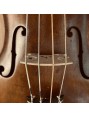 WILD gut strings for viola
