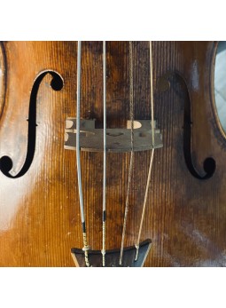cordes boyau WILD pour violoncelle