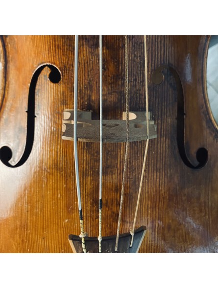 cordes boyau WILD pour violoncelle