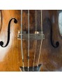gut strings by WILD